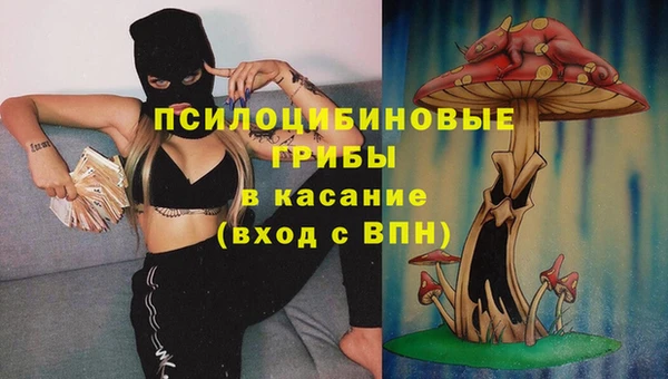 трава Алзамай