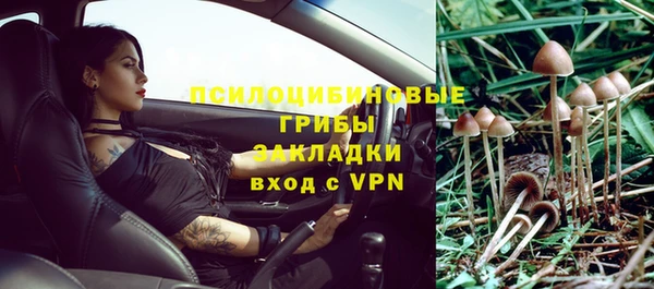 эйфоретик Абинск