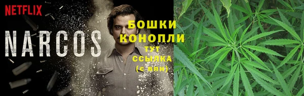 соль ск Абаза
