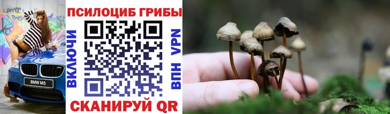 наркотики  Исилькуль  гидра ССЫЛКА  Галлюциногенные грибы Psilocybe 